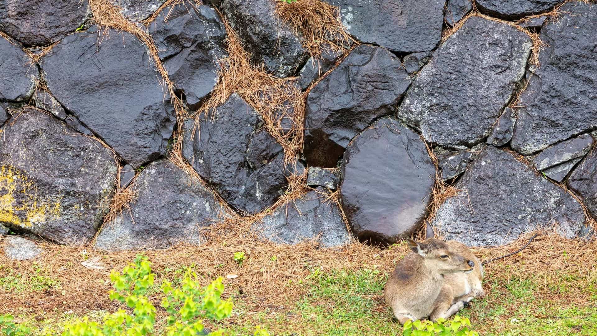 トップ画像