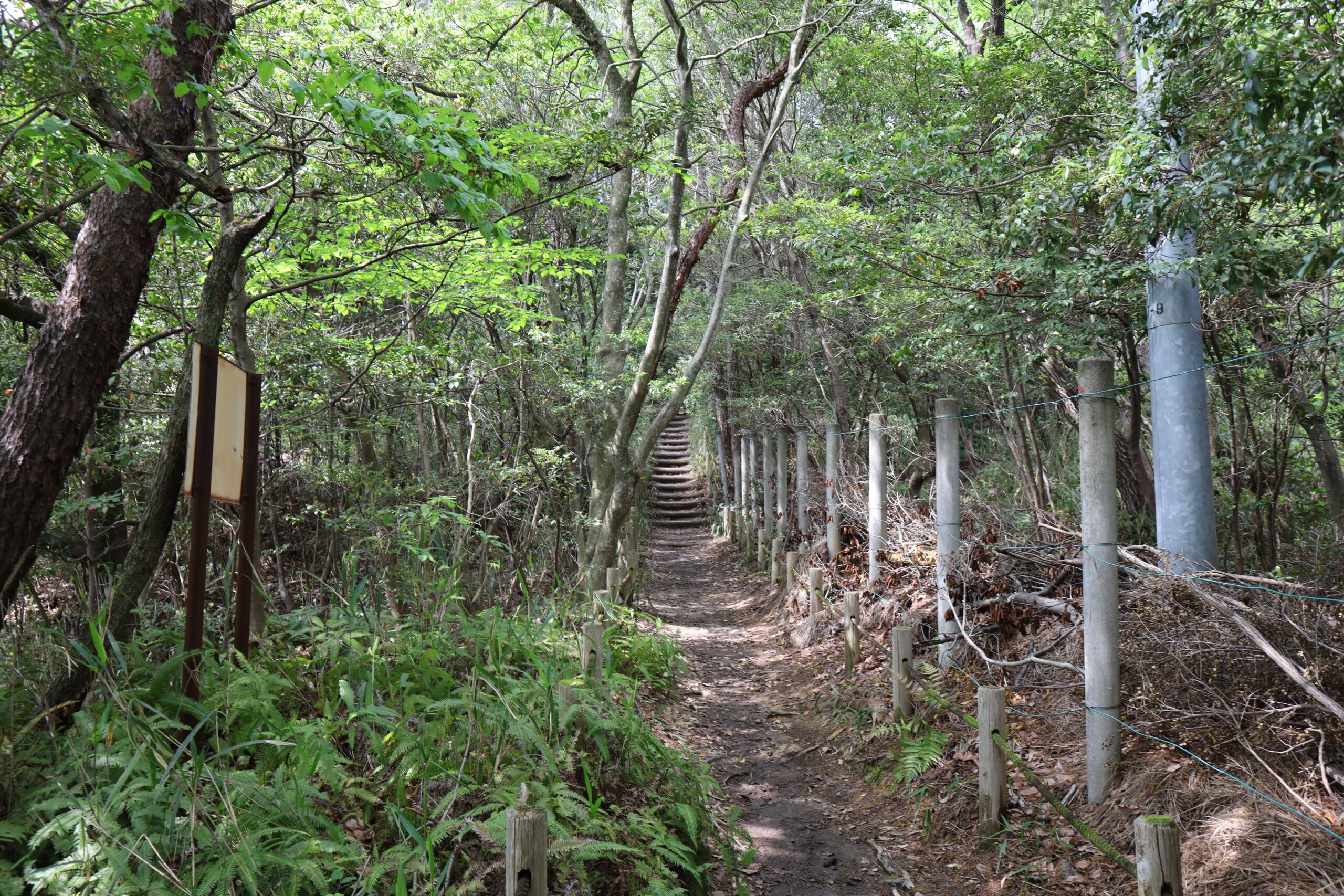 東谷山で矢穴探し