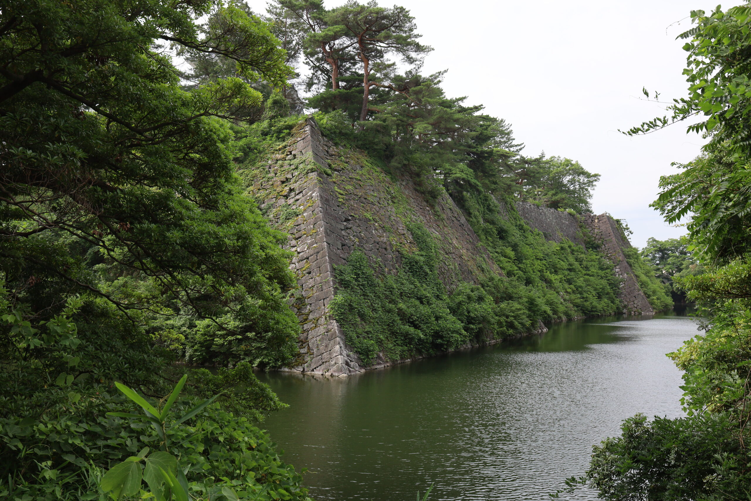 伊賀上野城の矢穴探し